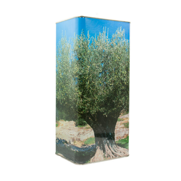 latta da 5l di olio palazzolo